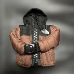 THE NORTH FACE ミニチュアジャケット　キーチェーン　キーリング