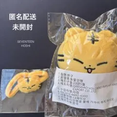 2026年最新】seventeen ホシ ぬいぐるみの人気アイテム - メルカリ