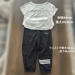 アディダス　スポーツウェア　上下セット　レディース