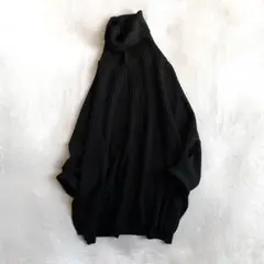 極美品【EVERYDAY I LIKE】リブタートルネック プルオーバー ニット Deuxieme Classe（ドゥーズィエムクラス）の「EVERYDAY I LIKE