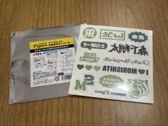 阪神タイガースシークレット水転写ボディシール