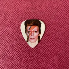 かさ　布袋　ギター　　BOOWYピック2個おまけ　ソフトケース付き かさ 布袋 ギター BOOWYピック2個おまけ ソフトケース付き かさ