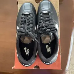 Item thumbnail for item 605d676f-3923-4b48-a933-be6524b8fd30