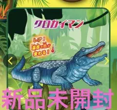 miu様 リクエスト 2点 まとめ商品