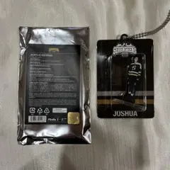 SEVENTEEN ジョシュア HOME アクリルキーリング