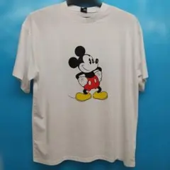 Item thumbnail for item 028e1a9f-6fdc-4d7b-8bad-9105ad2ccc87