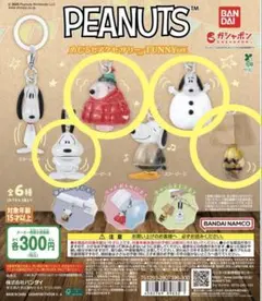 スヌーピー PEANUTS めじるしアクセサリー FUNNYver