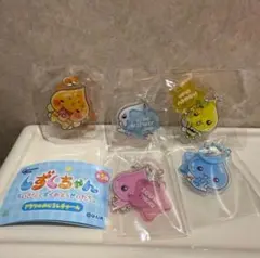 しずくちゃん アクリルめじるしチャーム ちいさなしずくのようせいたち 全5種