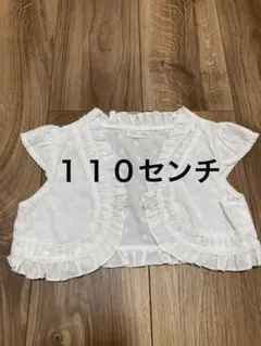 Item thumbnail for item d52c95a4-0ae4-4434-b113-19de34f36009