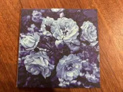 RAY 『Blue』　CD シューゲイザー　アイドル　ドッツトーキョー