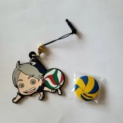 2025年最新】菅原孝支 缶バッジ まとめ売りの人気アイテム - メルカリ