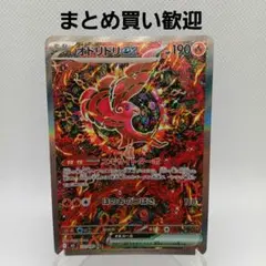 2025年最新】オドリドリSの人気アイテム - メルカリ