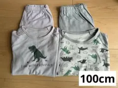 恐竜プリントパジャマ2着セット100cm 西松屋 【記名跡あり】