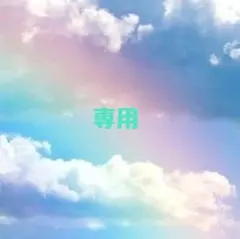 まる〜土日発送お休みいたします〜様 リクエスト 2点 まとめ商品