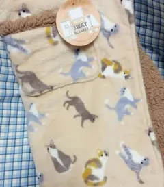 Item thumbnail for item f93271c9-59ac-4780-bc15-6d76210c76a7