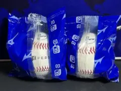 Item thumbnail for item 92e726da-5ace-46db-83a6-f2d9d942edc9