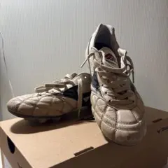 ミズノモレリア2Japan