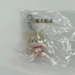 【匿名配送】JOCHUM ジェオチャム めじるしアクセサリー まめちぃ