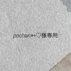 pochan➳♡様専用