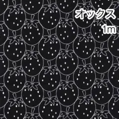 1m いちご ブラック オックス