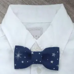 Item thumbnail for item 28c25edc-7de2-40bb-9bfd-2328ddcb2ebd