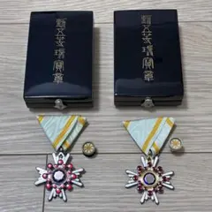 【BX品】航空自衛隊　儀礼肩章　常装用 二等空尉 セット BX品】航空自衛隊 儀礼肩章 常装用 二等空尉 セット - メルカリ