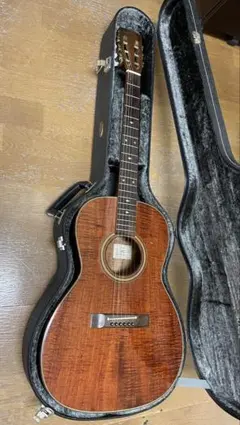 2025年最新】TAKAMINE PT-406の人気アイテム - メルカリ
