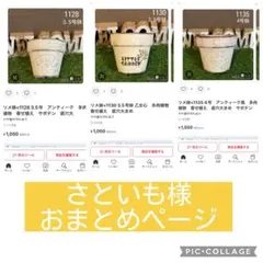 リメ鉢<1134 4号浅鉢 乙女心　多肉植物　寄せ植え　底穴大きめ　シンプル リメ鉢<1134 4号浅鉢 乙女心 多肉植物 寄せ植え 底穴大きめ シンプル