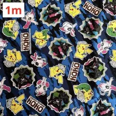 綿プリント　オックス　キャラクター　ポケモン　110㎝×1m ポケットモンスター