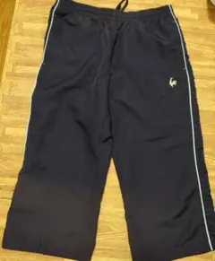 Item thumbnail for item 0ed608cd-245a-4b04-8c42-5fea823fd5e0