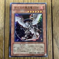 2025年最新】ホルスの黒炎竜lv6の人気アイテム - メルカリ