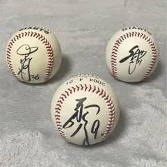 清水隆行＆内海哲也（巨人）投げ入れサインボール 2個セット