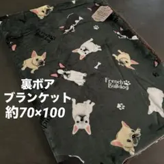 ★新品★ フレンチブルドッグ　フレブル　裏ボアブランケット　ふわふわ　グリーン