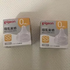 Item thumbnail for item 9631e2ac-8964-477f-a968-f744776e3a91