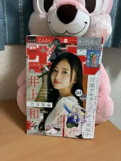 週刊少年サンデー 2025年39号