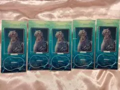 新品 華Doll アクリルスタンド 八代 刹那 5個セット