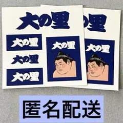 大相撲　力士　相撲体　シール　ステッカー　2枚　大の里　二所ノ関部屋