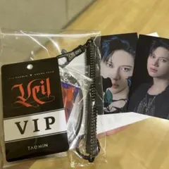 3/9 テミン 武道館 アプグレグッズ 新品未開封 2025年最新】テミン アプグレの人気アイテム - メルカリ