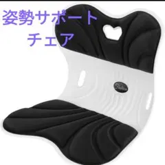 猫背を解消姿勢矯正椅子　姿勢サポートチェア　軽量　座椅子　黒　腰痛改善