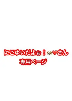 専用ページ