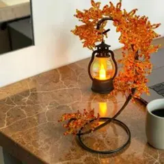 カープ様 リクエスト 2点 まとめ商品