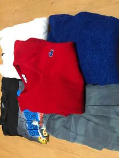 HARE.LACOSTE.STUSSY