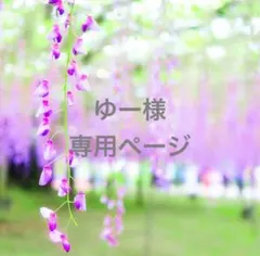 ゆー様　専用ページ