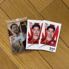 バレーボール男子日本代表 公式トレーディングmini色紙 高橋健太郎