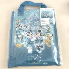 【新品】東京ディズニーシー 25周年 レジャーシート 収納バッグ付き