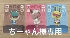 専用