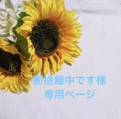 断捨離中です様専用ページです。