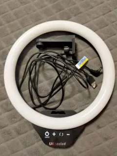 Item thumbnail for item 209379ad-29c1-4f4c-8984-1f49d8717db1