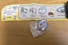 川越限定 サンリオ シナモロール ピンバッジキャラクターコレクション