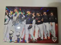 Item thumbnail for item 4600ee2e-4793-451c-8fd2-0b142a7b98cb